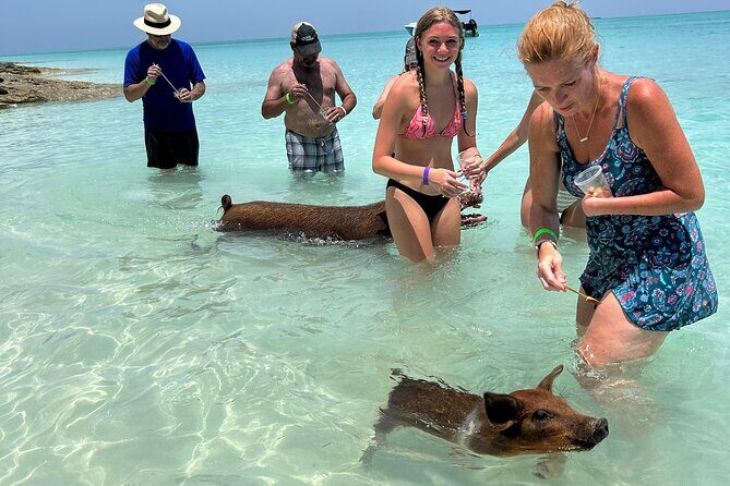 007 Private Beach Club -Swimming Pigs, Snorkeling, Lunch, Drinks - Key Things That Make This Tour Worth Your Attention