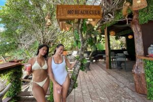 007 Private Beach Club -Swimming Pigs, Snorkeling, Lunch, Drinks - Green Cay Turtle Sanctuary: Close Viewing With Safety Rules