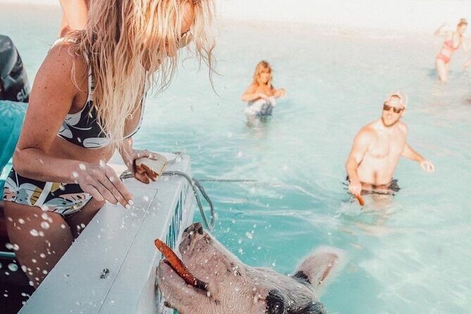 3 Islands Tour, Swim with Pigs, Turtles, Snorkelling & lunch - Crew and Captains: Why the Service Gets Named