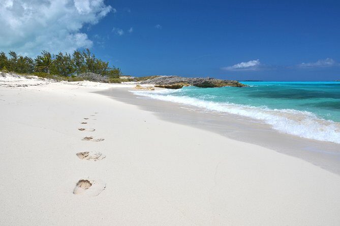 4 hours 38ft Reel Dreams Private Charter in Nassau - Price and value: what $990 buys your group (not per person)
