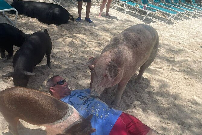 4hr Private Tour Island Hop Snorkel w/ Turtles & Sip Bahama Mamas - Optional Athol Island Swimming Pigs: Ask If You Want the Bucket-List Moment