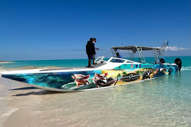 All Inclusive Pig Encounter, Snorkeling, Turtles, Lunch & Beach - Green Cay Turtle Sanctuary: Watching Turtles in a Different Way