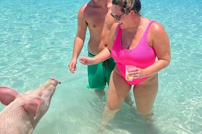 All Inclusive Pig Encounter, Snorkeling, Turtles, Lunch & Beach - Lunch and Snacks: What Included Food Actually Feels Like