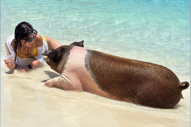 All Inclusive Pig Encounter, Snorkeling, Turtles, Lunch & Beach - The 007 Beach Club on Rose Island: Peace, DJ Energy, and Beach Time