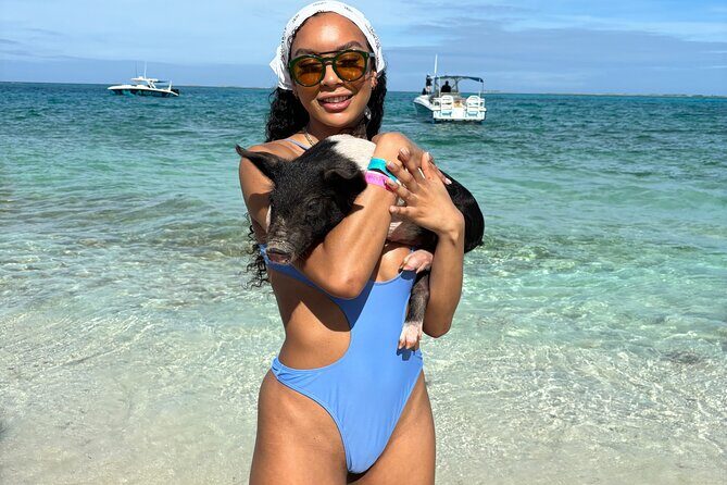 Bahamas Adventure: Pigs, Reef, Turtles, and Beach with Lunch - How the Rose Island powerboat day really works (4 stops, tight but not rushed)