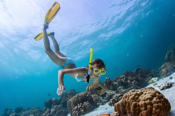Bahamas Adventure: Pigs, Reef, Turtles, and Beach with Lunch - Drinks, music, and the crew vibe that sets expectations