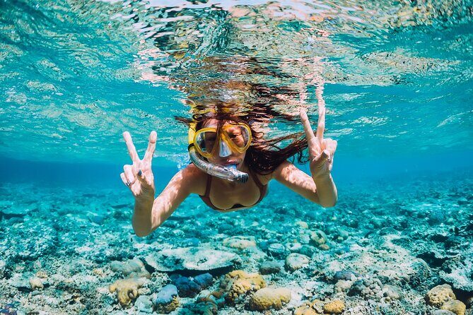 Bahamas Adventure: Pigs, Reef, Turtles, and Beach with Lunch - Where the value really shows: $299 includes the stuff that usually costs extra