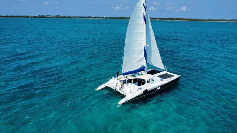 Bahamas: Swimming Pigs & Snorkeling Cruise with Lunch & Rum - Rose Island conch salad on the beach (and what to do once you’re there)