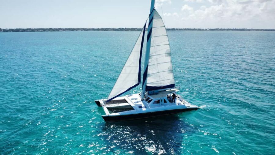 Bahamas: Swimming Pigs & Snorkeling Cruise with Lunch & Rum - The return cruise: sea turtle spotting and Junkanoo culture