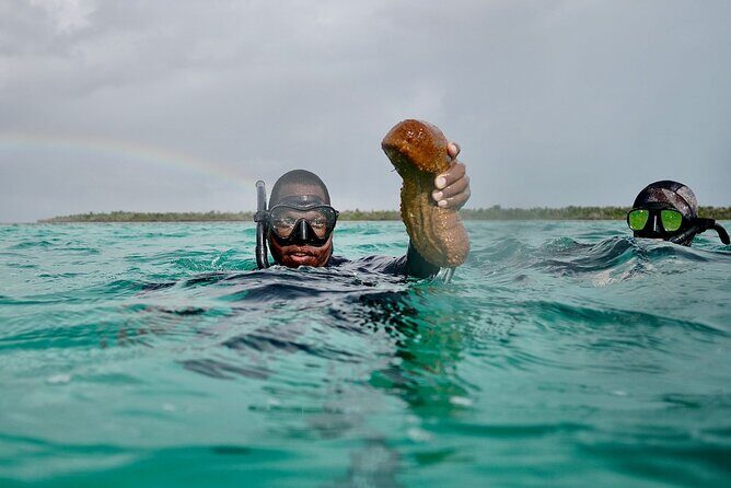 Blue hole, drift snorkeling, turtles Celebration Key is welcome - Turtle Park Stop: How to Manage Your Expectations
