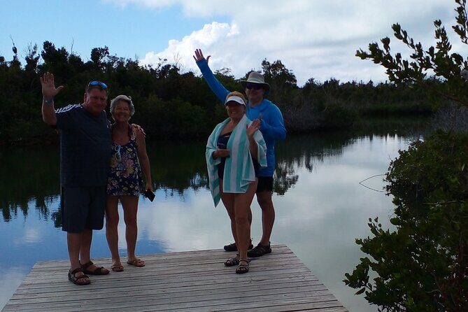 Blue hole, drift snorkeling, turtles Celebration Key is welcome - Drift Snorkeling: Floating With Currents and Watching the Reef Work