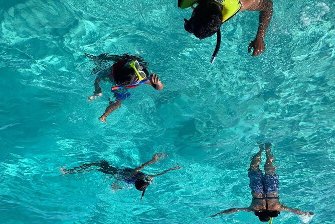 Bluefinn242 Swim with the Turtles in Nassau Bahamas - Key things that make this turtle tour worth your time