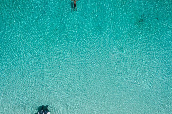 Bluefinn242 Swim with the Turtles in Nassau Bahamas - The 2-hour rhythm that fits Nassau days