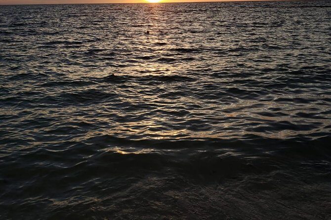Bluefinn242 Swim with the Turtles in Nassau Bahamas - Small group, private vibe: why that changes the experience