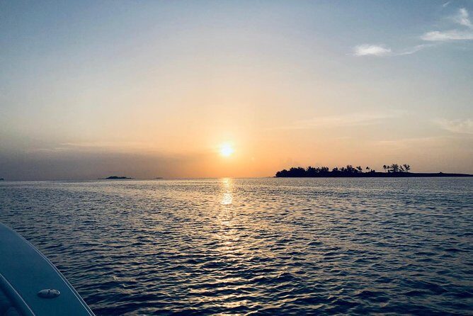 Bluefinn242 Swim with the Turtles in Nassau Bahamas - Price and value: is $128.21 a fair deal?