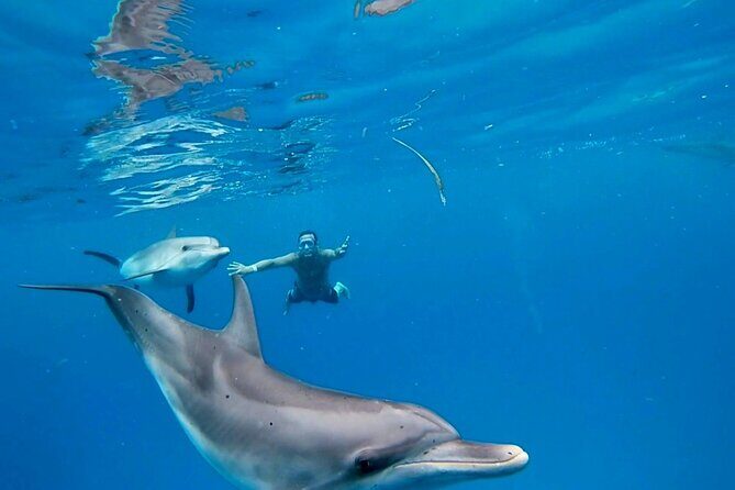 Create-Your-Own Luxury Adventure in Bimini with photographer - Key things to know before you go