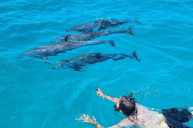 Create-Your-Own Luxury Adventure in Bimini with photographer - Bimini Dolphins and Museum Stories: What This 4-Hour Day Really Feels Like