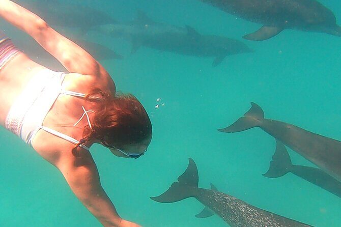 Create-Your-Own Luxury Adventure in Bimini with photographer - Price and Value: Is $1,300 Per Group Worth It?