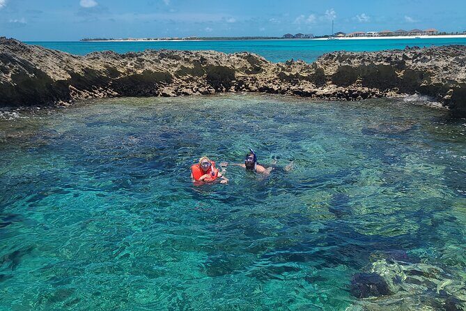 Create-Your-Own Luxury Adventure in Bimini with photographer - Alice Town’s Dolphin House Museum: A Smart Start Before the Open Water