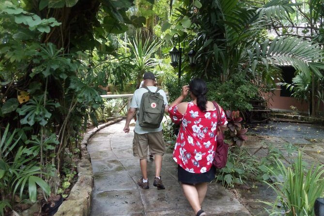 Dilly Dally Walking Tour of Nassau Attractions - Start at East Street & Bay Street: Quick Hit for First-Timers