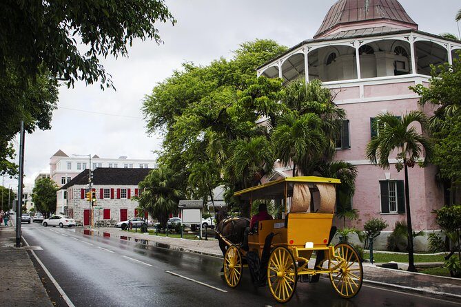 Dilly Dally Walking Tour of Nassau Attractions - Fort Fincastle, Government House, and Rawson Square