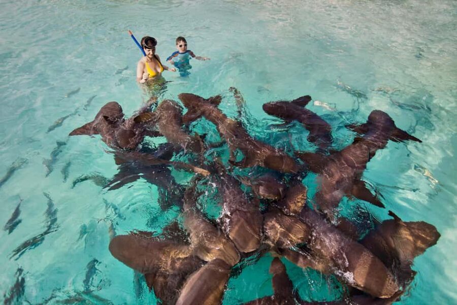 Exclusive Fly-In Premium Beach Experience from Nassau - From Nassau to Staniel Cay: the best part is the start