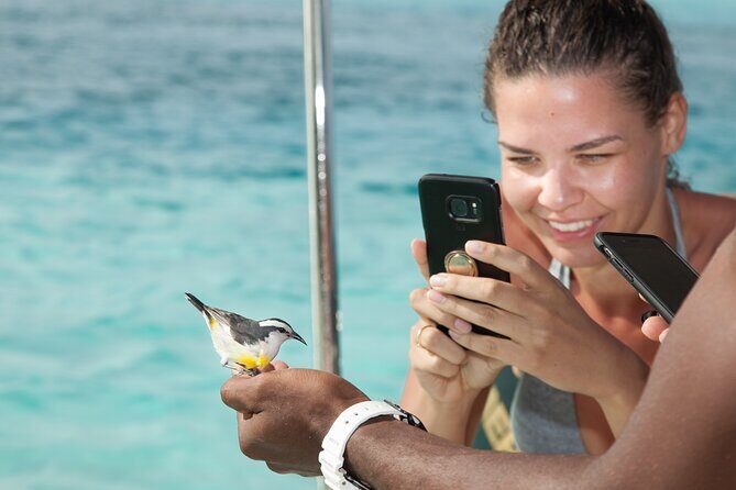 Experience The Exumas and the World Famous Swimming Pigs - The 7:30am start and the reality of a fast, bumpy boat