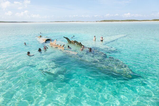 Experience The Exumas and the World Famous Swimming Pigs - Stop 2: Compass Cay nurse sharks in their natural setting