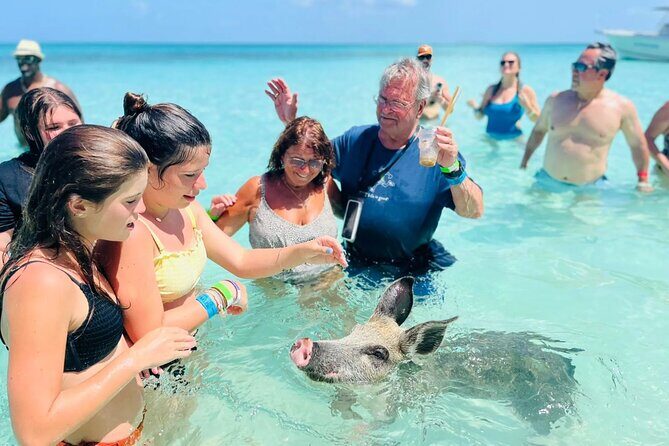 Exuma Day Away - Original Swimming Pigs Excursion - Key things that make this day trip worth your time