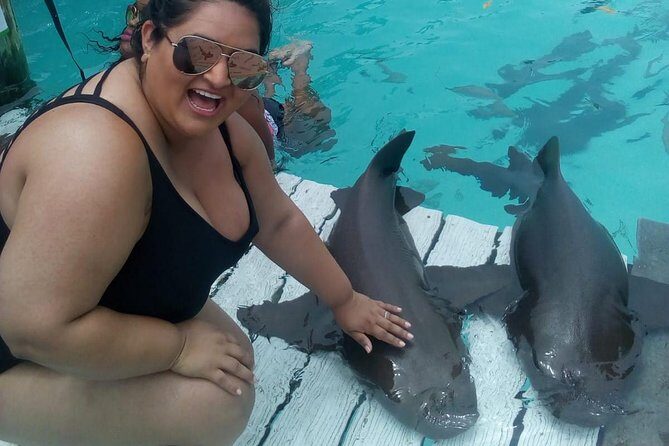 Exuma Day Away - Original Swimming Pigs Excursion - Compass Cay shark swim: nurse sharks in crystal-clear water