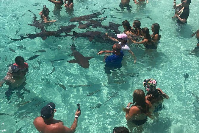 Exuma Day Away - Original Swimming Pigs Excursion - Exuma Cays Land and Sea Park: sandbars at low tide