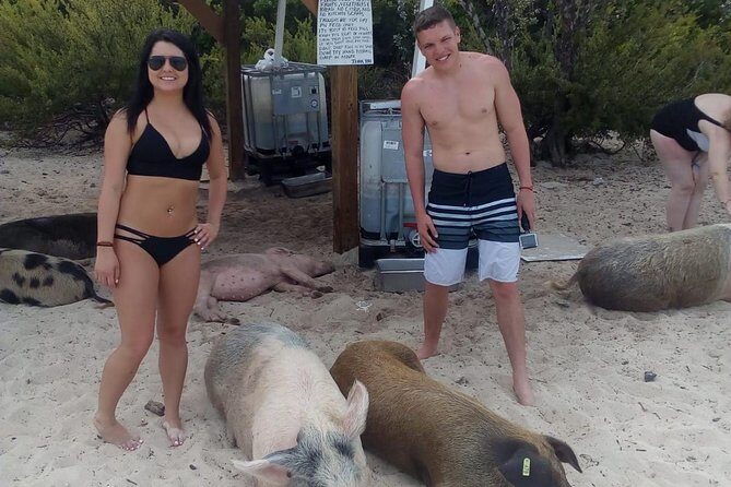 Exuma Day Away - Original Swimming Pigs Excursion - Norman’s Cay and the Pablo Escobar plane wreck: a famous underwater sight