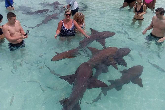 Exuma Day Away - Original Swimming Pigs Excursion - Food, drinks, and the real meaning of the $438 price