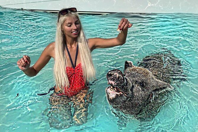 Exuma Day Away - Original Swimming Pigs Excursion - The boat ride reality: timing, motion, and comfort on a long run