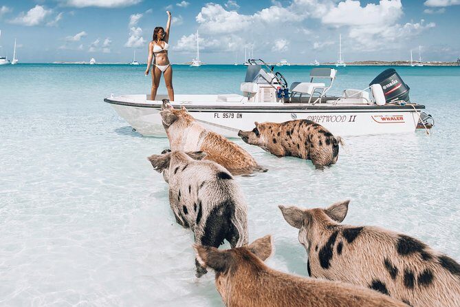 Exuma Elite Escape: Luxury Fly-In Pig Beach Adventure - 7 Stops - Key things that make this tour feel worth it