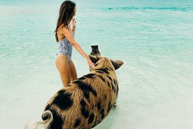 Exuma Elite Escape: Luxury Fly-In Pig Beach Adventure - 7 Stops - How the “fly-in” format changes the whole Exuma day