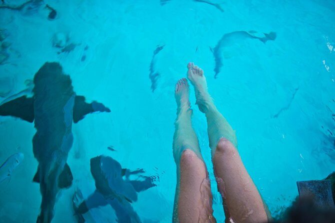 Exuma Elite Escape: Luxury Fly-In Pig Beach Adventure - 7 Stops - Thunderball Grotto snorkeling: James Bond fame meets real fish