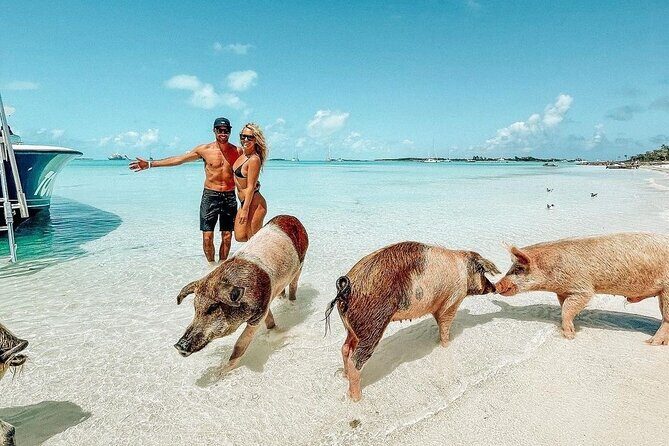 Exuma Full Day Swimming Pigs Group Boat Tour - Key Things You’ll Notice on This Exuma Full Day Cruise