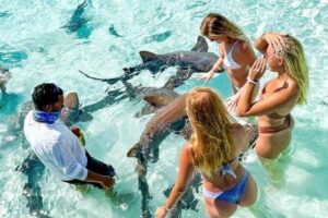 Exuma Full Day Swimming Pigs Group Boat Tour - Meeting Point at Margaritaville and the Morning Start