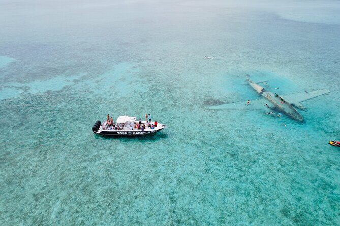 Exuma Full Day Swimming Pigs Group Boat Tour - Compass Cay Nurse Sharks: Swimming With Caution, Not Fear