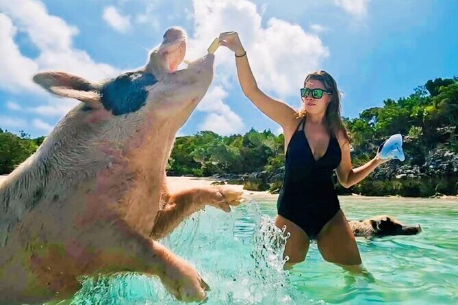 Exuma Island and Cays Tour - A moving tour of Great Exuma’s “cays” world