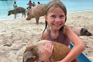 Exuma Island and Cays Tour - Boat-day logistics from Barraterre Dock to about 3:30 pm