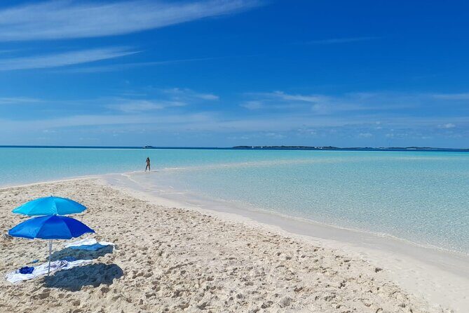 Exuma Island Hopping Swimming Pigs Tour with Lunch from Nassau - Pig Beach and Big Major’s Cay swimming pigs: the headline, and the hype is real