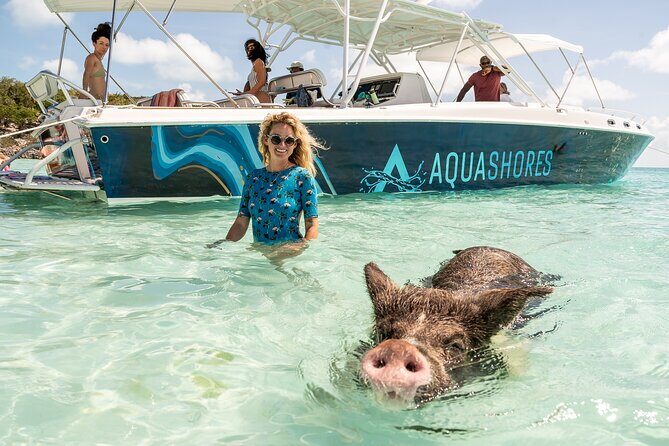 Exuma Powerboat Tour from Nassau with Swimming Pigs - Allen’s Cay rock iguanas: the easy wildlife stop