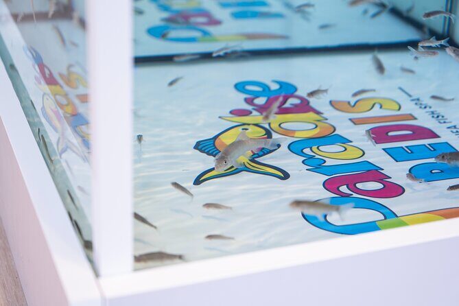 Fish, Fun & Feet – Caribbean’s Largest Fish Spa Experience! - Service You Can Feel: Staff Guidance Makes It Easier