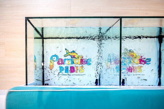 Fish, Fun & Feet – Caribbean’s Largest Fish Spa Experience! - Price and Value: Is $65 a Fair Deal?
