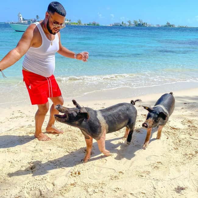 From Nassau: Swim with Pigs Safari - Key things to know before you go