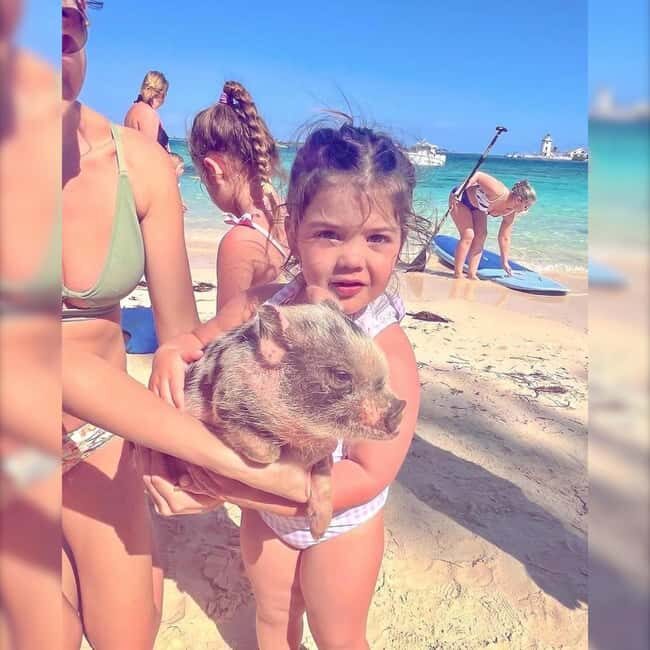 From Nassau: Swim with Pigs Safari - Pig Beach in the water: feeding, watching, and that surreal feeling
