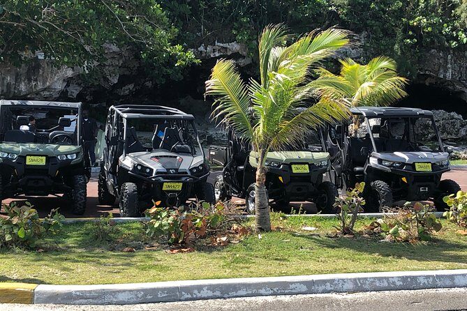 Fun Side x Side Buggy Rentals - Key things to know before you go