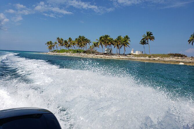 Half-Day Guided Boat Tour of Nassau Harbour and Rose Island - Rose Island: Green Turtles, Swimmable Pigs, and a Real Beach Break